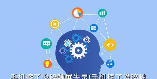 屏幕乱跳怎么办？（解决方法及注意事项）