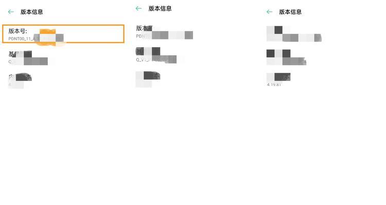 关闭OPPO手机开发者选项的方法（简单操作让您关闭开发者选项）
