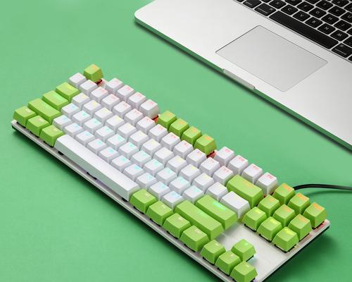 选择适合游戏的机械键盘轴（提升游戏体验的关键-选择适合游戏的键盘轴）