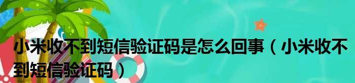 短信验证码收不到的可能原因及解决方法（探究短信验证码未收到的常见问题及其解决方案）