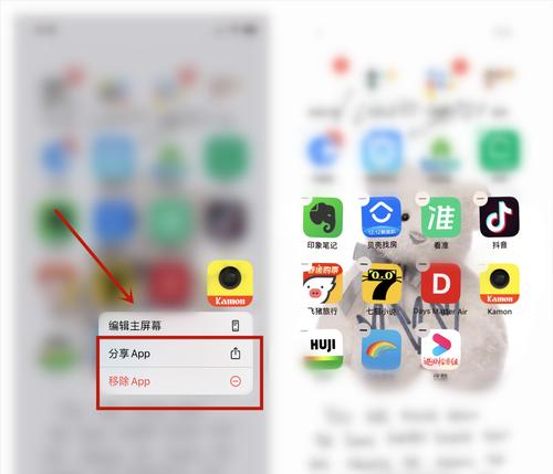 教你如何清理iPhone的存储空间（通过简单的步骤释放iPhone的宝贵空间）