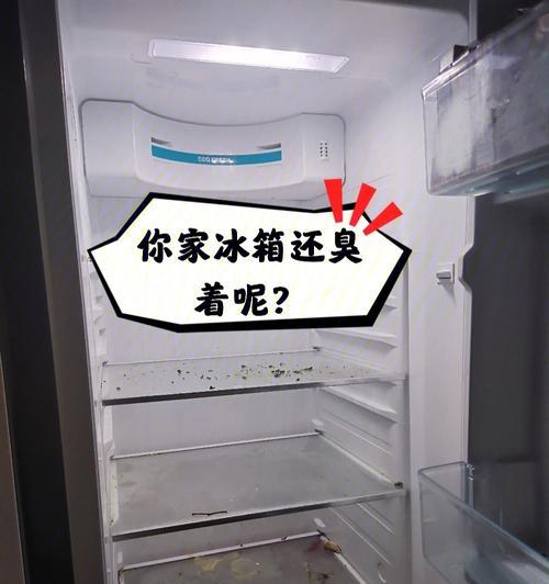 如何利用冰柜有效去除异味（以冰柜除异味）