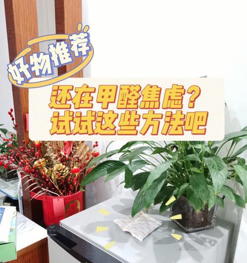 新房怎么除甲醛最快最有效（新房装修有甲醛处理措施）