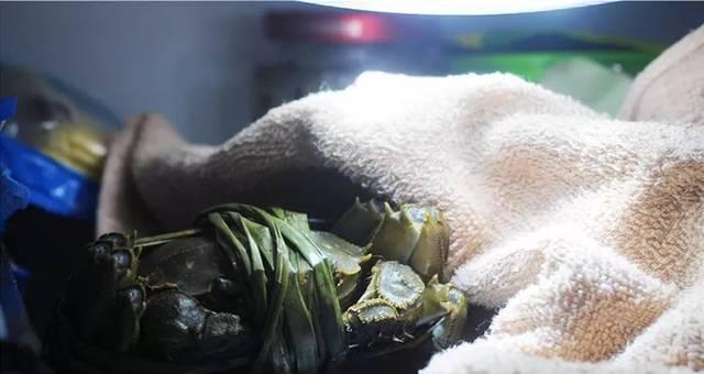 新鲜螃蟹怎么保存在冰箱（科学保存）
