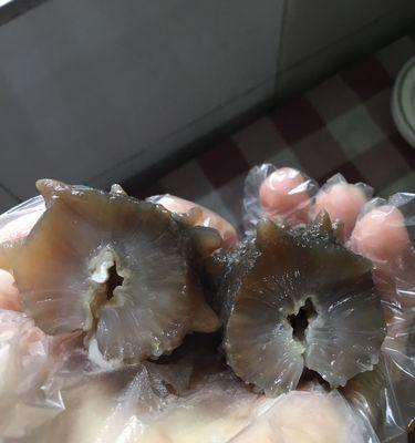 家庭干海参泡发的正确方法（如何正确处理和烹饪干海参）