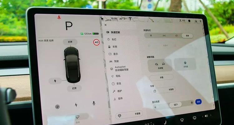特斯拉清理空调故障指南（解决特斯拉空调故障的简单方法）