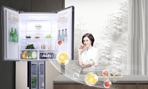 电冰箱为什么不能停机（探究电冰箱长期运行的原因与影响）