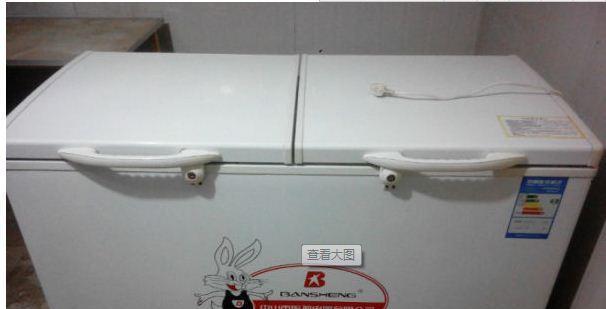 冰柜电源亮不起来怎么办（解决冰柜无法启动的问题）