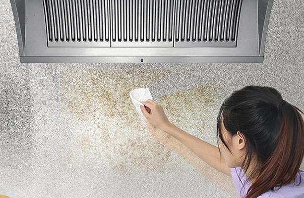 科学清洁油烟机，打造清新厨房环境（抽油烟机清洗方法及注意事项）