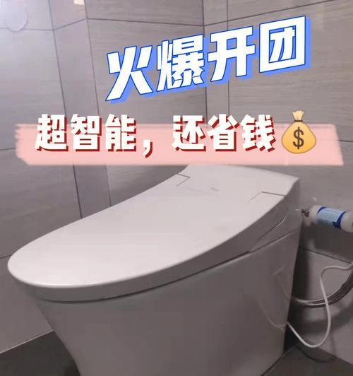 马桶选择指南（从使用体验到功能性能）