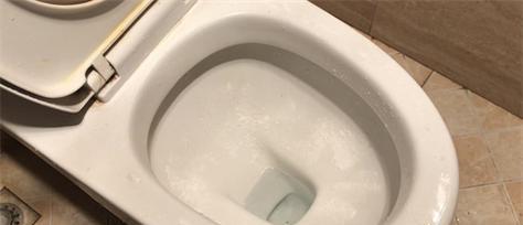 消除马桶臭味的有效方法（让你的厕所清新宜人的小窍门）