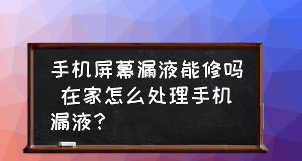显示器漏液的原因及处理方法（揭秘显示器漏液的真相与解决方案）