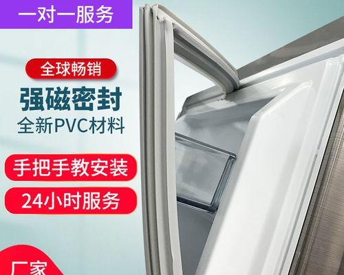 冰箱门皮圈清洗指南（轻松清洁冰箱门皮圈重要清洁技巧）