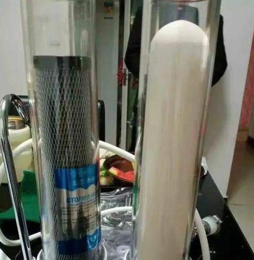 净水器滤芯排水不畅怎么办（解决净水器滤芯堵塞的方法及注意事项）
