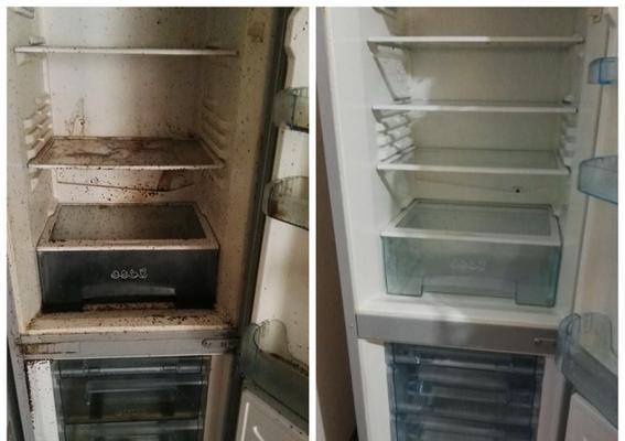 冰箱排水管的位置与功能（探究冰箱排水管的安装位置以及其在冰箱中的作用）