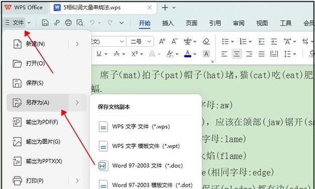 在WPS和Word文档中如何设置页码？