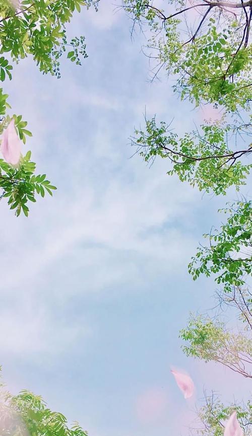 哪五款手机系统最受用户喜爱？它们的特点是什么？