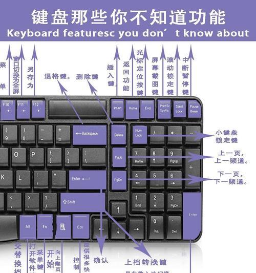 电脑键盘基础知识是什么？如何正确使用电脑键盘？