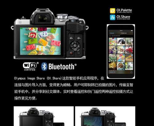 全画幅和半画幅有什么区别？对比分析哪个更适合摄影爱好者？