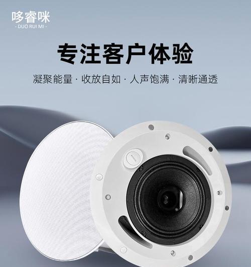 吸顶音箱适合家庭唱歌吗？如何选择合适的型号？