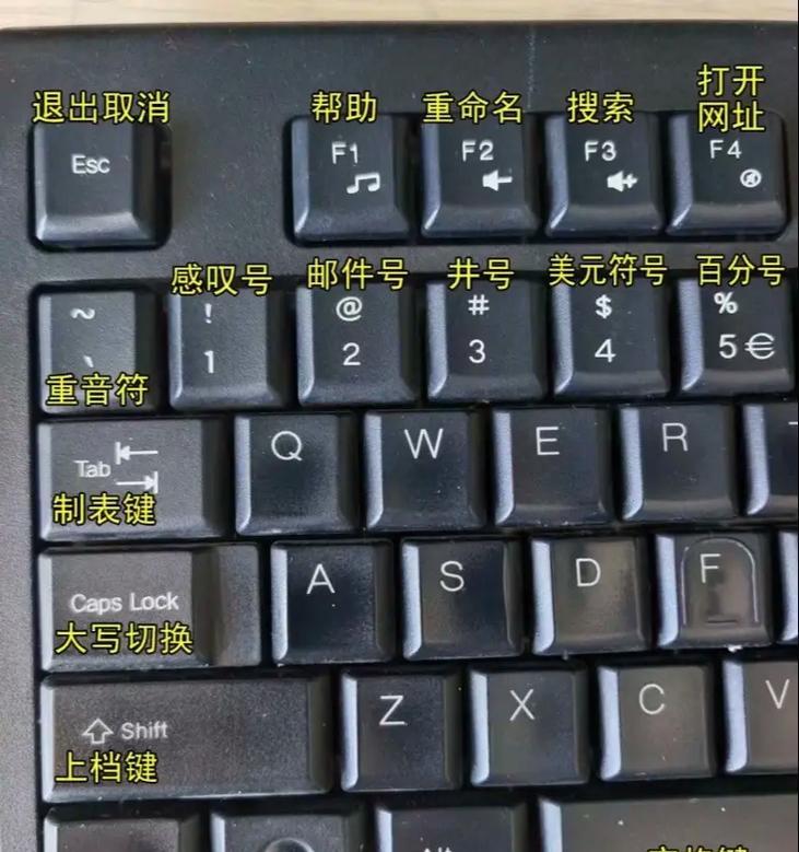笔记本电脑的专业键盘如何启用？操作步骤是什么？