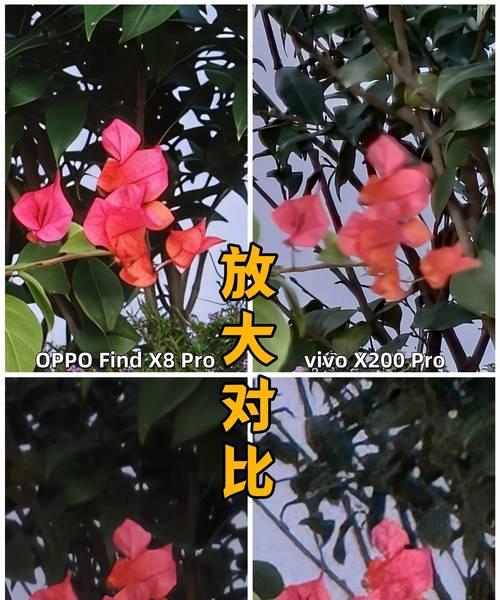 怎么用苹果15手机拍照好看？拍摄技巧有哪些？