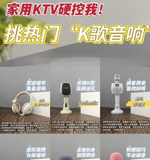 音箱外置唱歌话筒使用方法是什么？