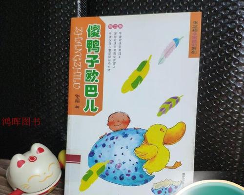 傻鸭子充电器使用方法是什么？有哪些注意事项？