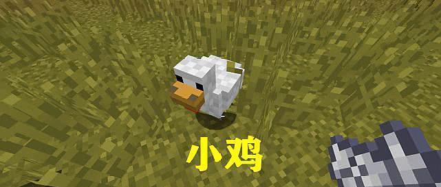 我的世界小鸡游戏机的玩法是什么？如何开始游戏？
