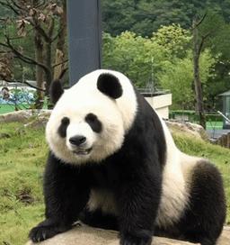 行云电源逾期后果是什么？如何避免？