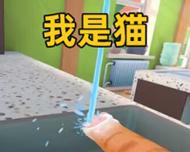 小猫模拟器教程在哪里找？如何开始游戏？