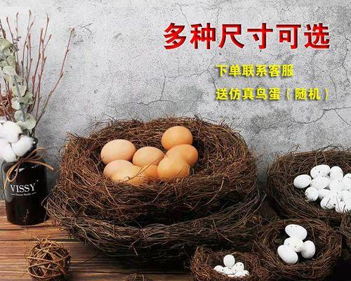 手机怎么监控鹌鹑鸟巢摄像头？需要哪些设备和步骤？