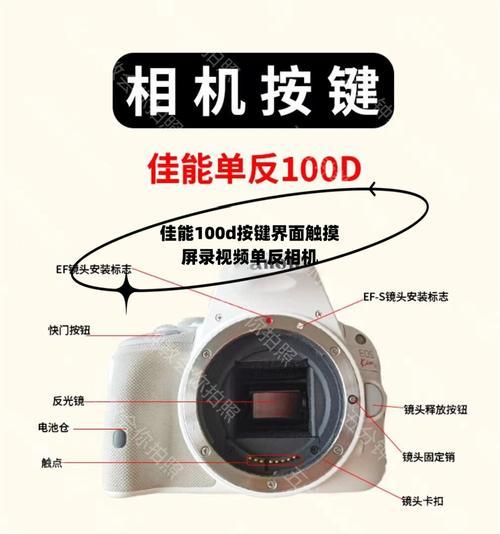 单反相机选购要点是什么？视频拍摄效果如何评估？
