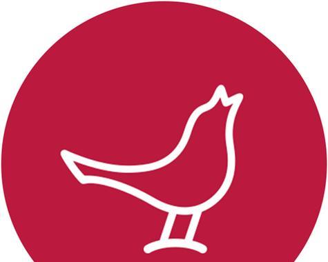 小鸟蓝牙耳机红色闪烁代表什么？遇到此情况应如何处理？