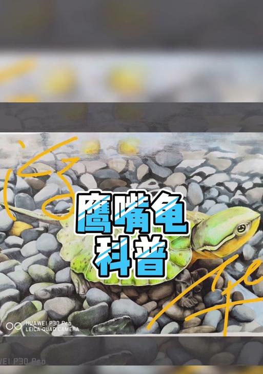华为乌龟手机壳的拆卸方法是什么？拆卸时应注意什么？