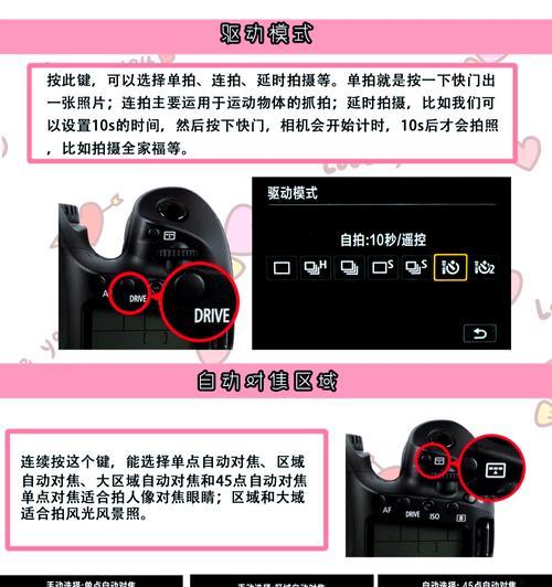 单反相机如何调整设置以拍出清晰照片？操作指南是什么？