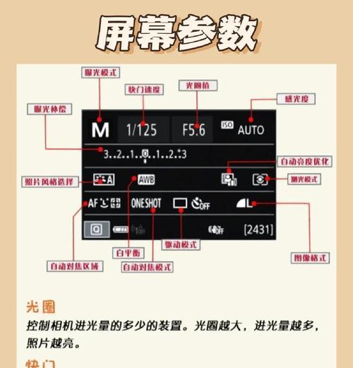 单反相机如何调整设置以拍出清晰照片？操作指南是什么？